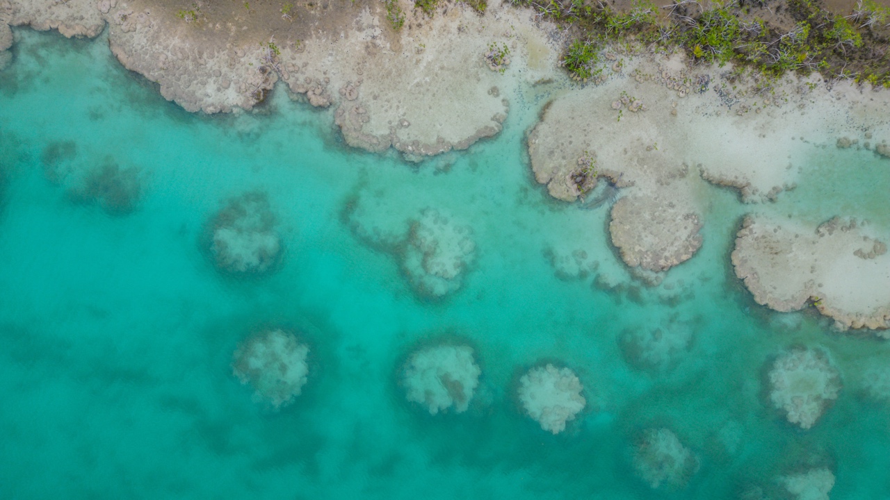 stromatolites bacalar mexico los rapidos