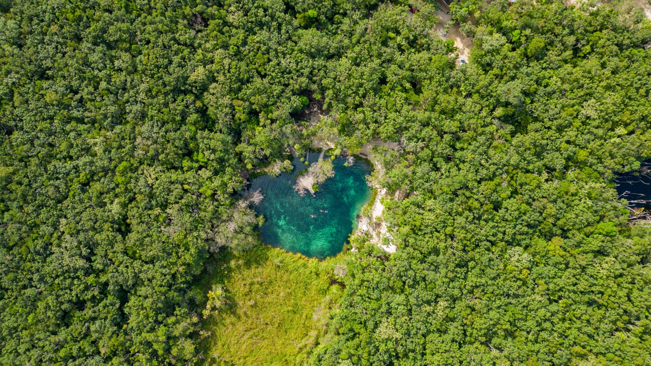 YOUR GUIDE TO THE BEST (LESSER KNOWN) CENOTE IN TULUM