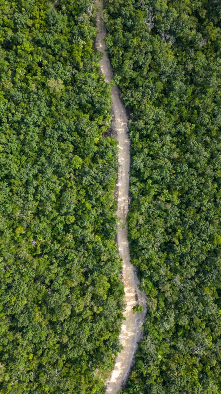 tulum jungle path drone