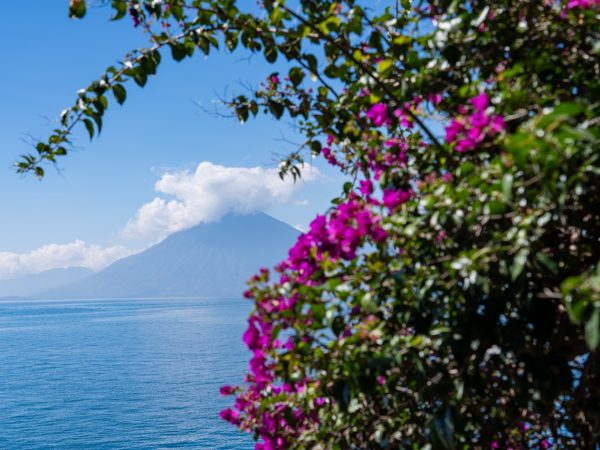 WEEKEND UPDATE #61 – ADVENTURES IN ATITLAN