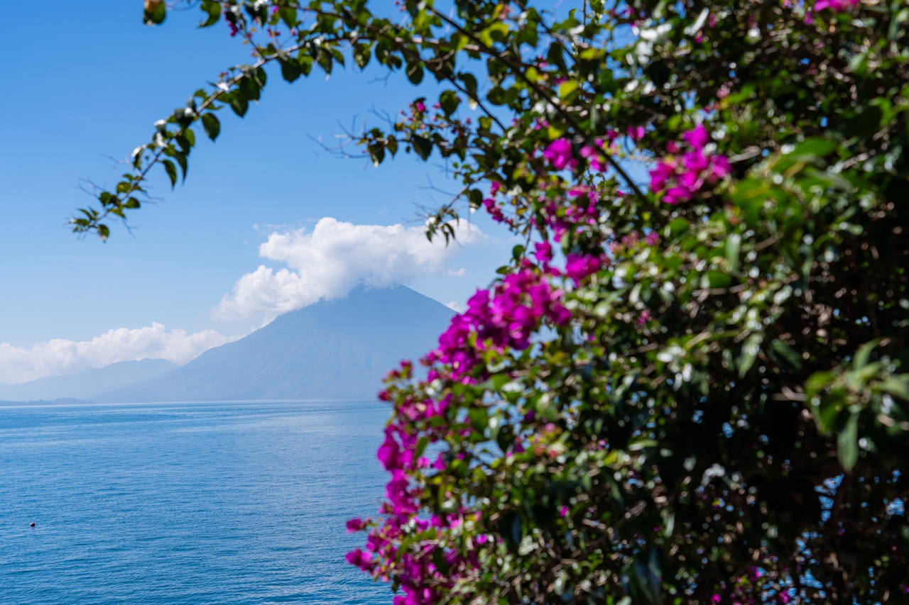 WEEKEND UPDATE #61 – ADVENTURES IN ATITLAN