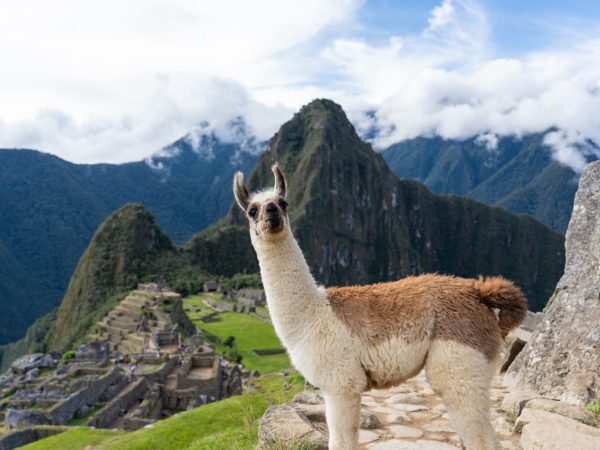 MACHU PICCHU SALKANTAY TREK