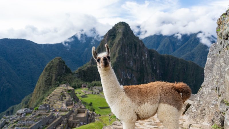 MACHU PICCHU SALKANTAY TREK