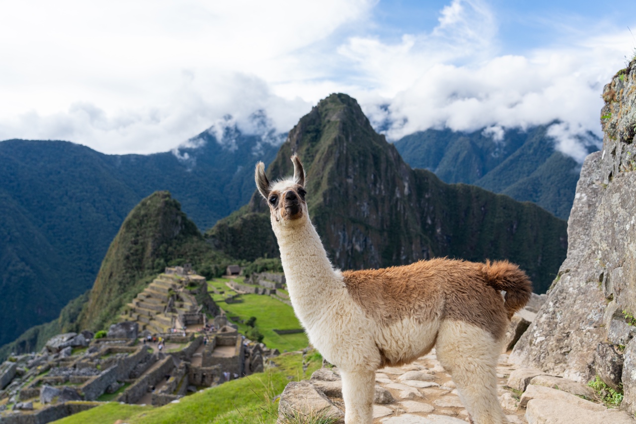 MACHU PICCHU SALKANTAY TREK