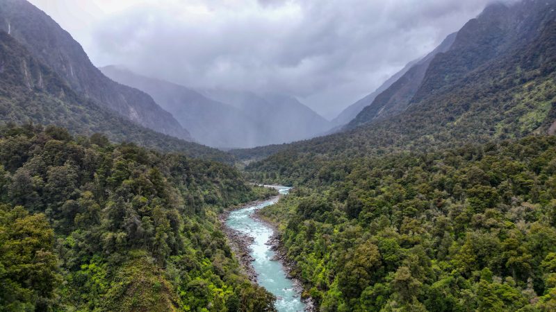 COOKED ALONG THE COPLAND TRACK